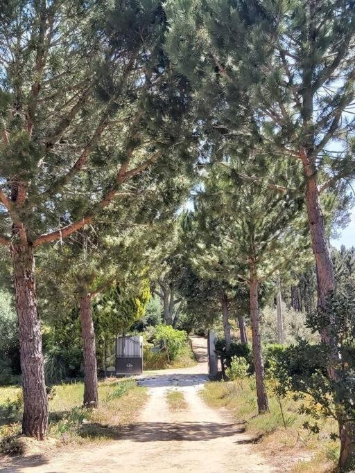 Вилла Casa Vale Nicolau Арганил Экстерьер фото